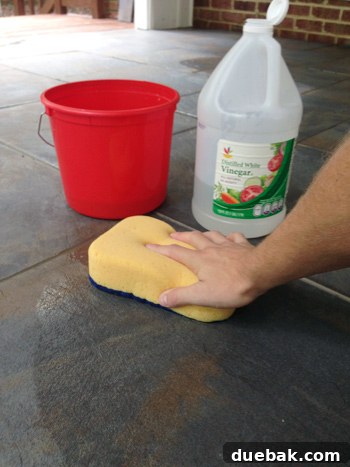 Cleaning process using a 50/50 water and vinegar solution to remove thinset haze from tiles