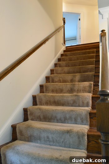 Removing Old Carpet and Stubborn Staples 2 Old carpeted staircase awaiting renovation
