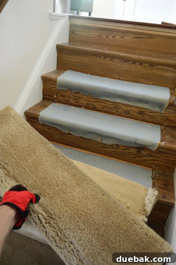 Removing Old Carpet and Stubborn Staples 6 Pulling up old carpet by hand with gloves
