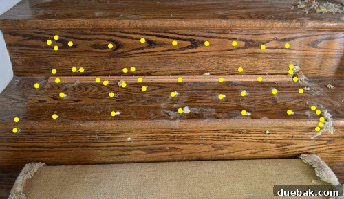 Removing Old Carpet and Stubborn Staples 8 Stair step with yellow dots marking staple locations