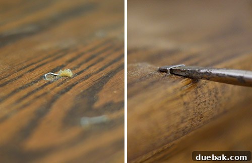 Removing Old Carpet and Stubborn Staples 9 Close-up of staple removal in progress with pliers