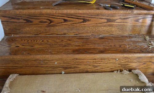 Removing Old Carpet and Stubborn Staples 10 Staples removed from a stair step