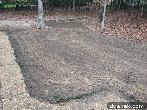 Curb Appeal Mastery 11 Backyard 'Wetlands' area after grading and seeding with new topsoil