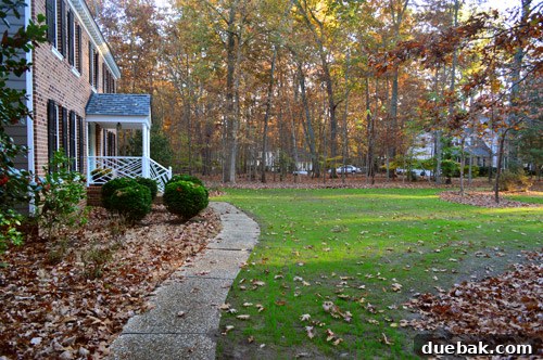 Curb Appeal Mastery 17 Front yard after professional grading and grass seeding, showing new growth