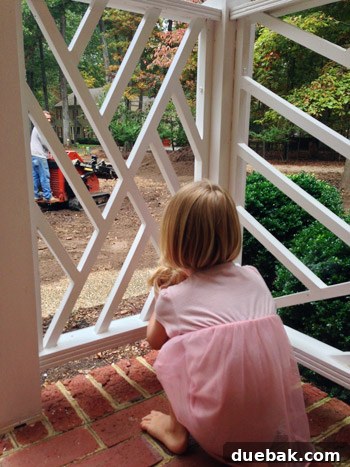 Curb Appeal Mastery 7 Child observing the landscaping work from behind a railing