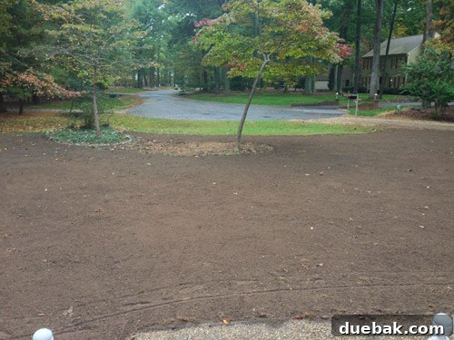 Curb Appeal Mastery 9 Broadcast spreader track mark on freshly seeded topsoil
