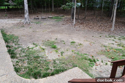 Curb Appeal Mastery 10 Uneven backyard area, nicknamed 'The Wetlands,' before grading