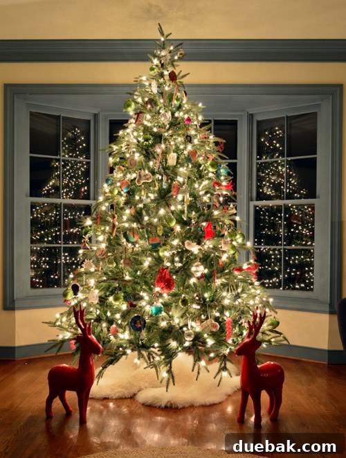 Rustic Wood Slice Christmas Creations 24 Christmas tree illuminated at night, reflecting in bay windows