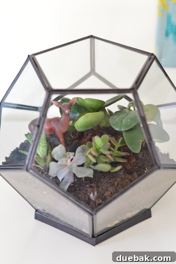 Craft Your Own Miniature Ecosystem 12 Miniature deer figurine placed inside the succulent terrarium