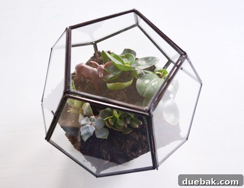 Craft Your Own Miniature Ecosystem 13 Finished terrarium with plants and deer figurine, sealed for self-sufficiency