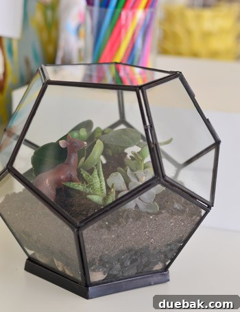 Craft Your Own Miniature Ecosystem 6 Unique glass container perfect for a DIY terrarium