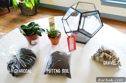 Craft Your Own Miniature Ecosystem 7 Terrarium supplies including gravel, charcoal, and potting soil