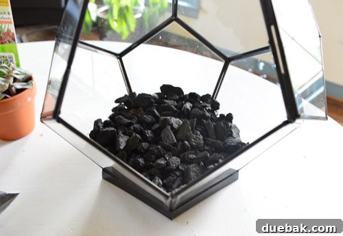 Craft Your Own Miniature Ecosystem 9 Horticultural charcoal layer placed over gravel in the terrarium