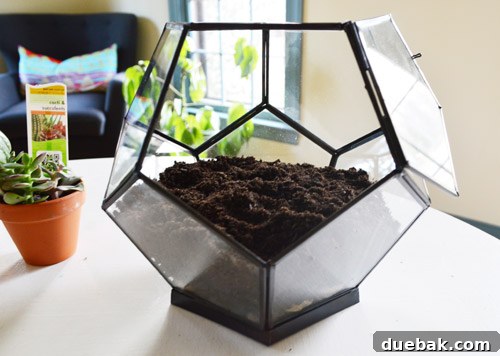 Craft Your Own Miniature Ecosystem 10 Potting soil layer added on top of charcoal in the terrarium