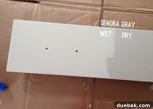Benjamin Moore Senora Gray paint wet and dry color