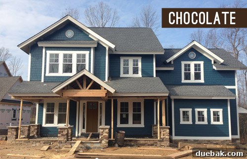 Chocolate brown front door color rendering