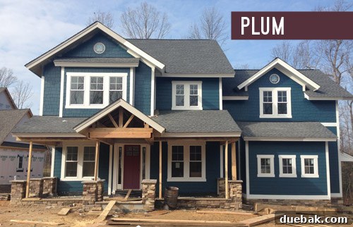 Rich plum front door color rendering