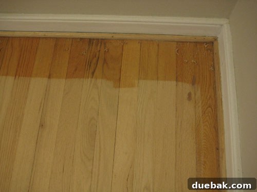img_1475 img_1475