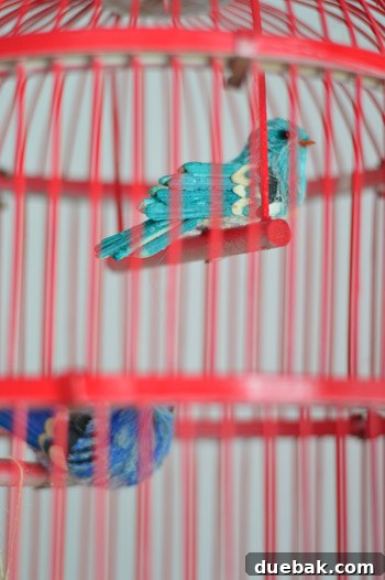 Taming the Runaway Home 15 Close-up of Prince Sam Bluebird ornament