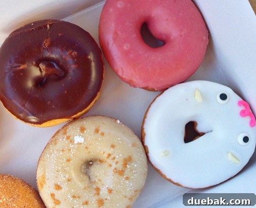 Richmond Virginia Keşif Rehberi: En Sevilen Mekanlar ve Aktiviteler 4 Delicious donuts from Sugar Shack Donuts