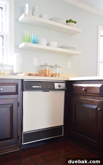 Give Your Dishwasher a Color Makeover 2 Almond colored dishwasher in a kitchen