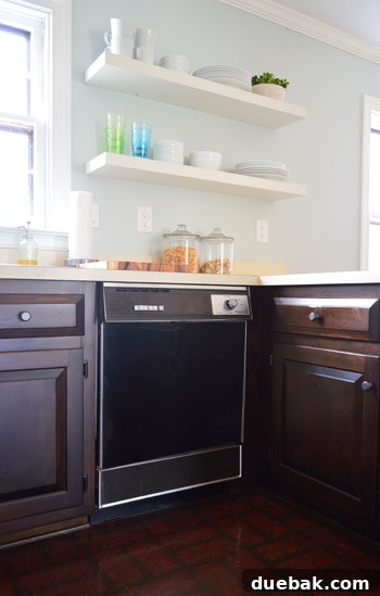 Give Your Dishwasher a Color Makeover 9 Dishwasher with black panel installed