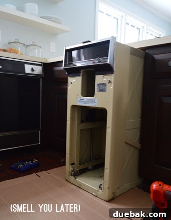 Give Your Dishwasher a Color Makeover 10 Removing an old trash compactor from a kitchen