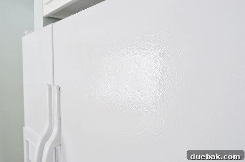 close up detail of how to paint a refrigerator