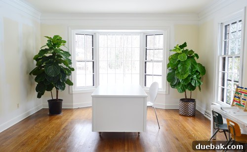 A wide shot of the office, showing the new desk and the overall clean aesthetic.