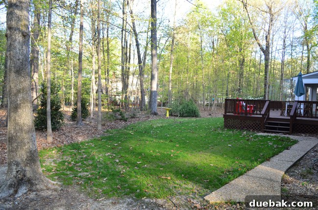 Listy VonListerstein: The Art of Intentional Listing 25 Backyard view with cleared slate pieces and a freshly seeded lawn.