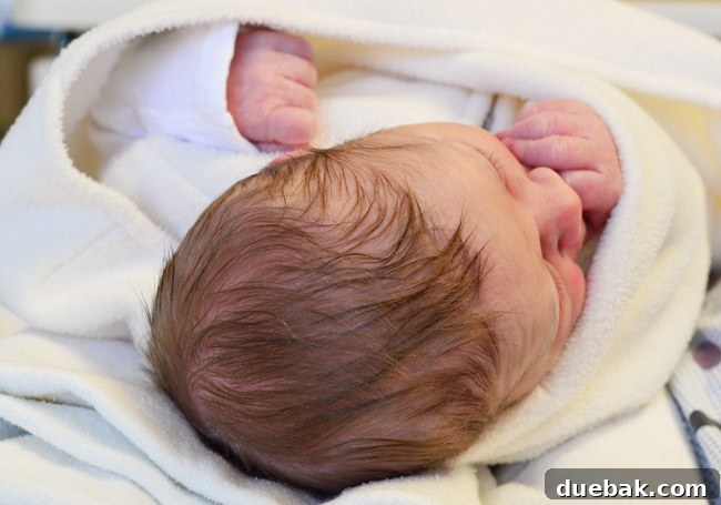He Makes His Entrance 6 A charming photograph focusing on newborn baby Teddy's head, highlighting his abundant dark hair, a delightful feature.