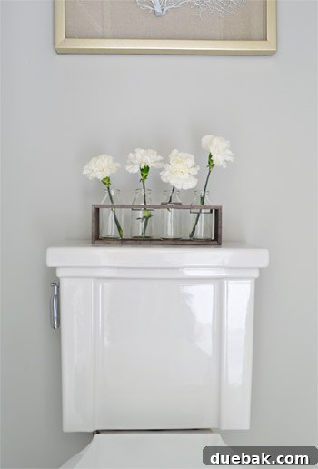 Kohler Tresham toilet with decorative accents