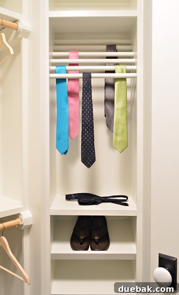 Built-in tie rack and shoe shelves in the closet