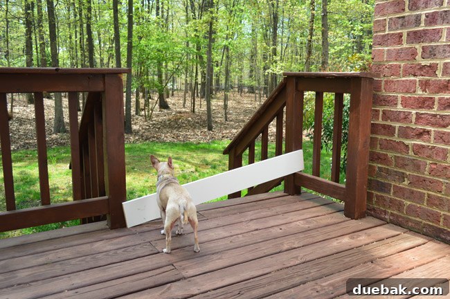 Temporary Wood Board Scrap Placed In Front Of Deck Railing Opening To Keep Dog From Running Away
