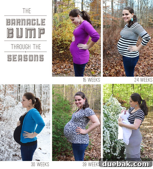 A grid of pregnancy photos taken in front of the same bush, showing the bump's growth through different seasons.