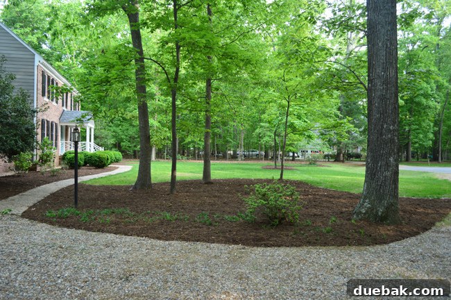 Large Mulch Bed Next to Driveway With Brick Colonial Home In Background