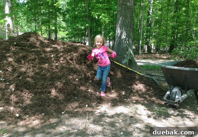 Little Girl With Garden Gloves Playing In Large Mulch Bed Next To Wheelbarrow