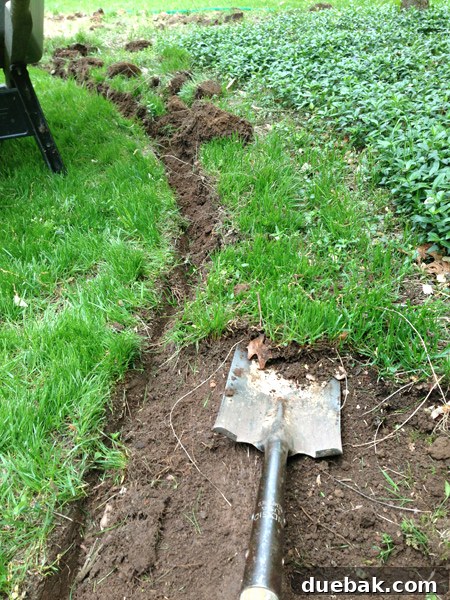 Digging Out Grass Around Mulch Bed