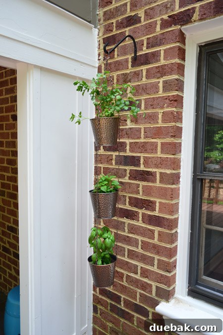 Herb Pots Hanging From Hook On Brick Wall Off House