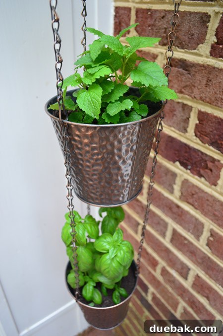 Detail Of Herb Pots Hanging From Chain