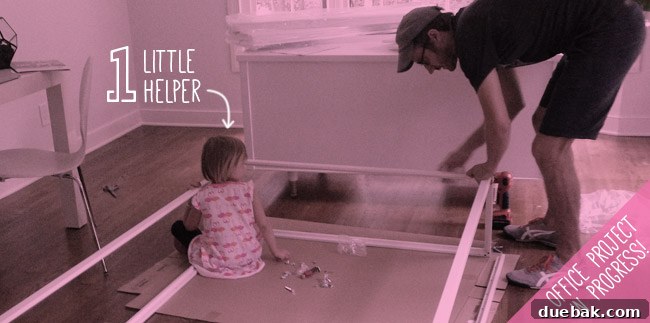 Infographic highlighting pet-friendly home modifications and furry family adventures