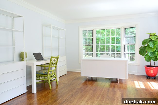 Elevating Our Home Office with Fjalkinge Bookshelves 16 Completed IKEA Fjälkinge office setup