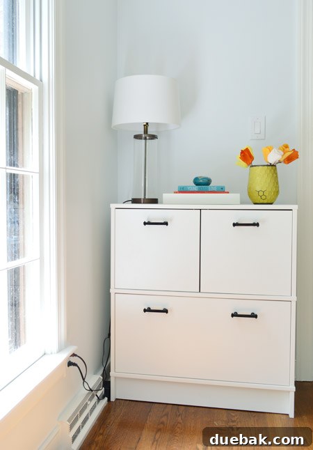 Elevating Our Home Office with Fjalkinge Bookshelves 19 File and printer cabinet in organized home office