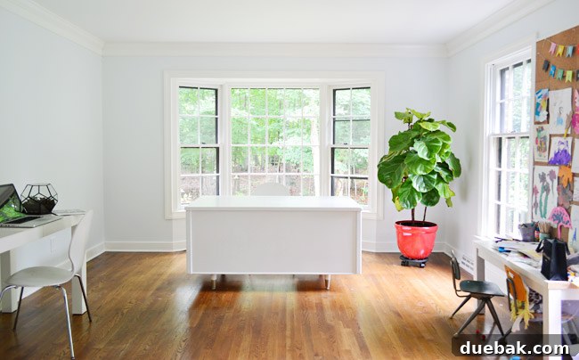Elevating Our Home Office with Fjalkinge Bookshelves 4 Home office desk rotated into bay window