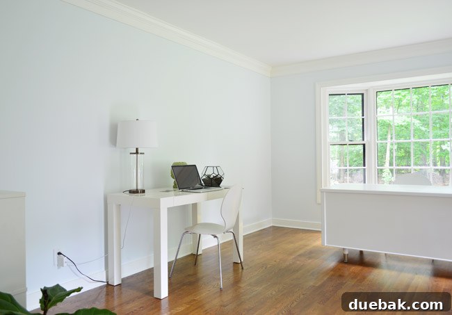 Elevating Our Home Office with Fjalkinge Bookshelves 5 Adjusted home office desk placement