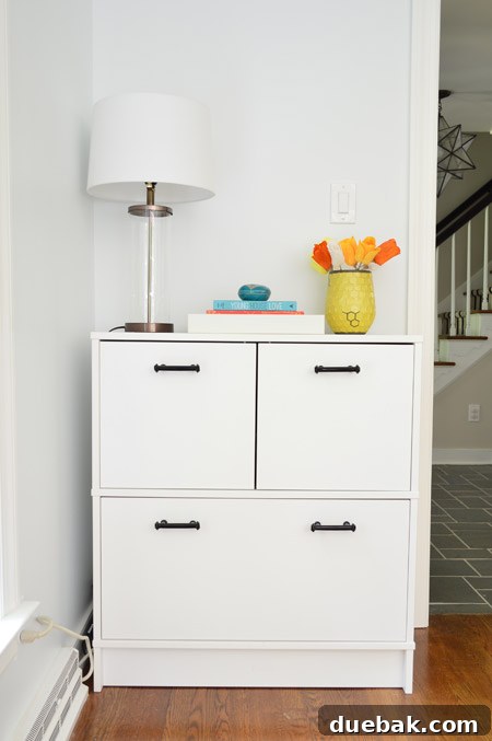 Closed Ikea Effectiv printer and file cabinet in the office
