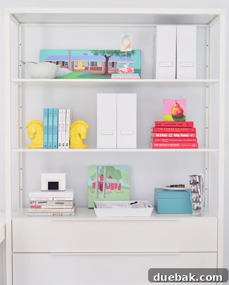 Our hook designs and books displayed on office shelves