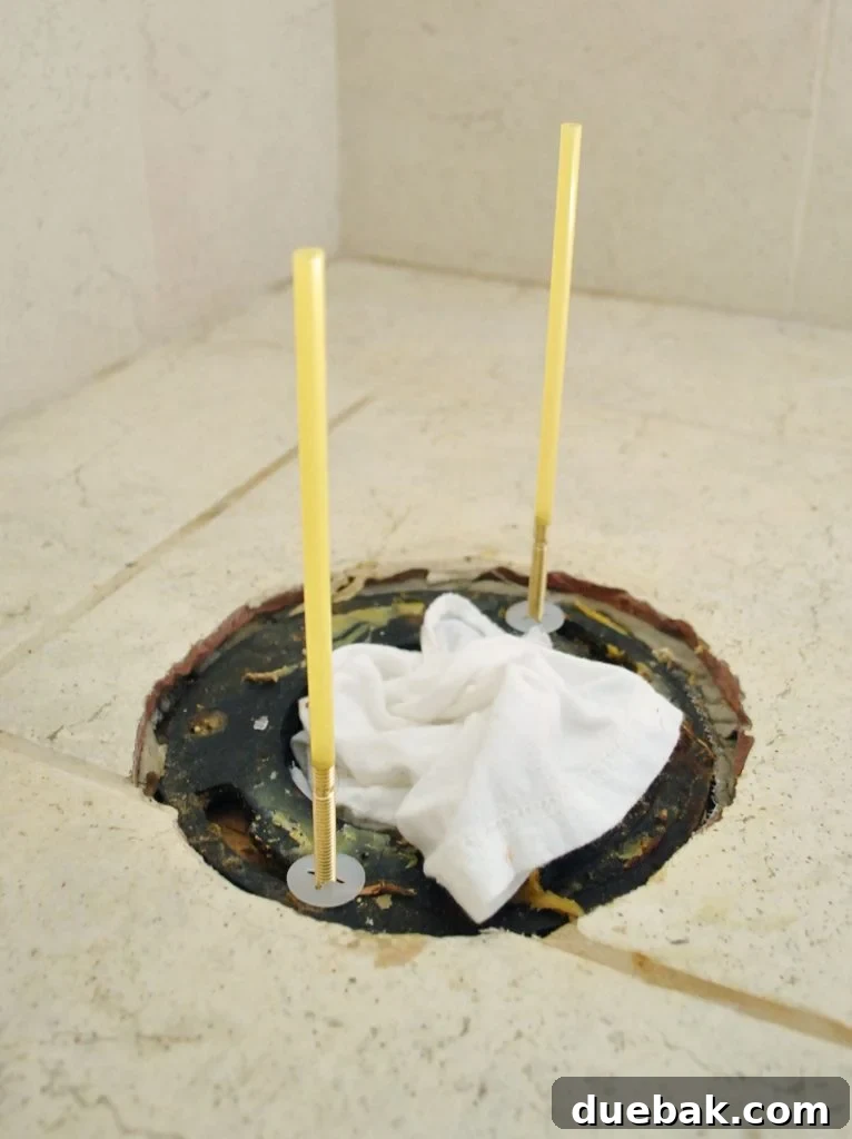 Straw Trick On Toilet Flange Bolts