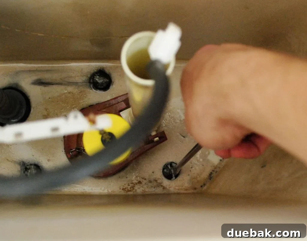 Hand With Screwdriver Adjusting Bolts In Toilet Tank