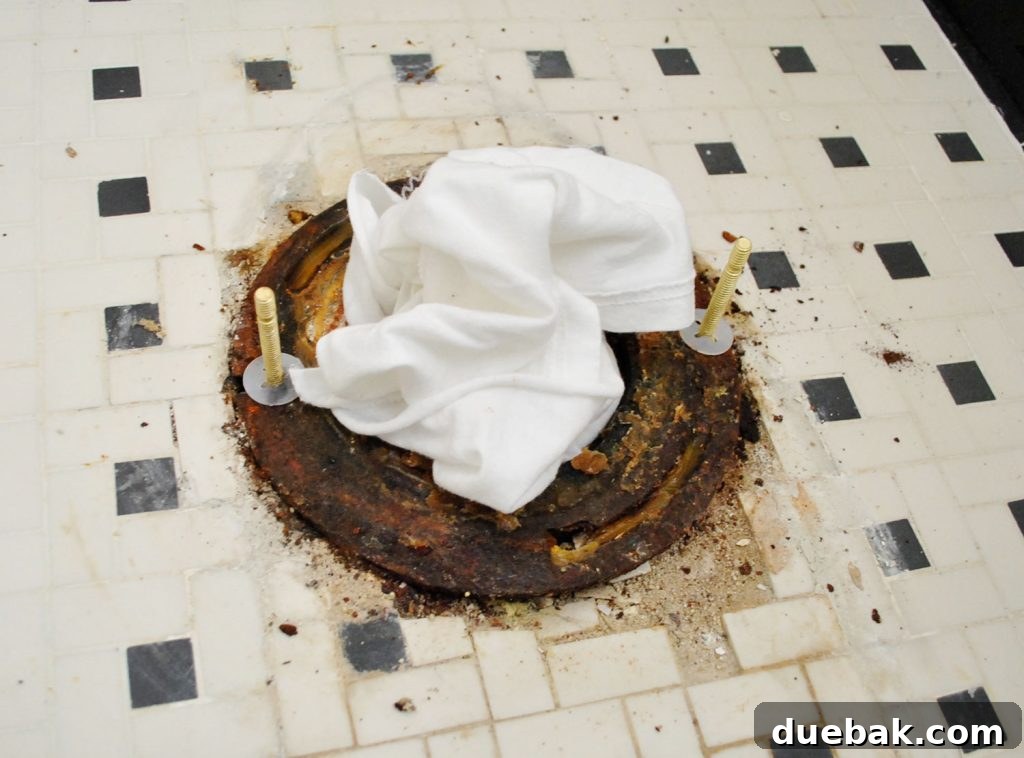New Bolts On Toilet Flange With Rag In Sewer Hole